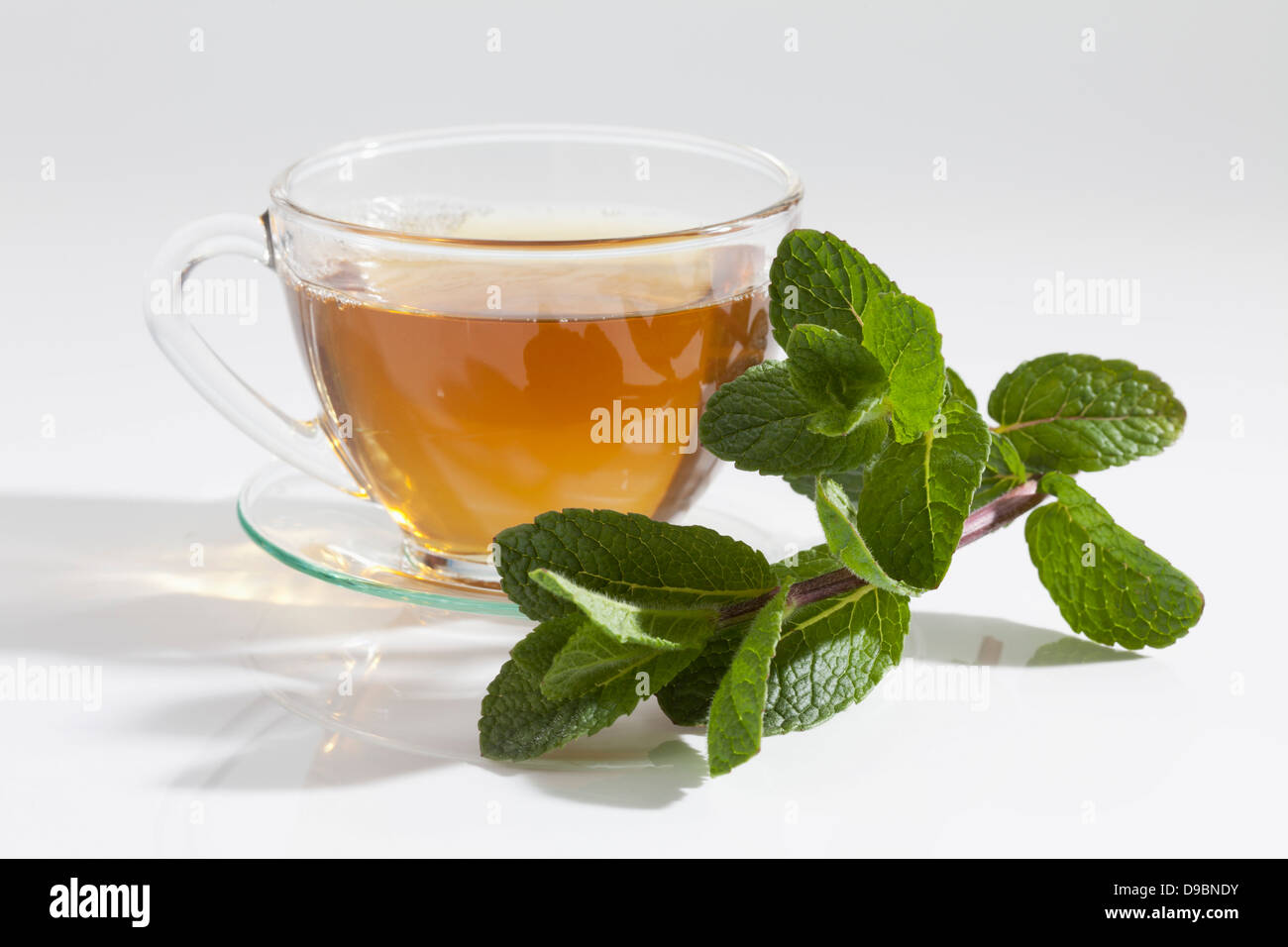 Moroccan mint with cup of mint tea on white background, close up Stock Photo