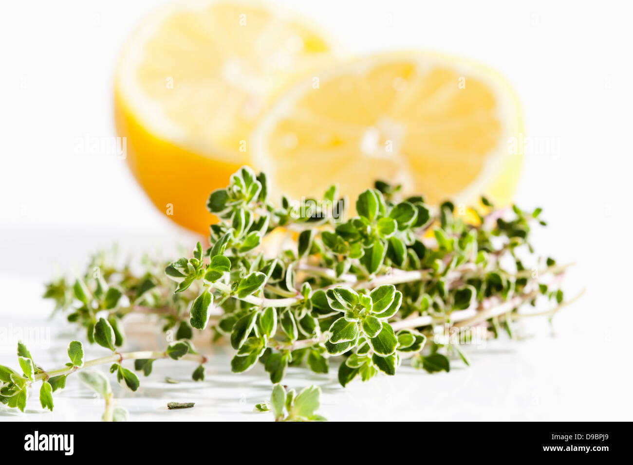 Lemon thyme with lemons on white background, close up Stock Photo