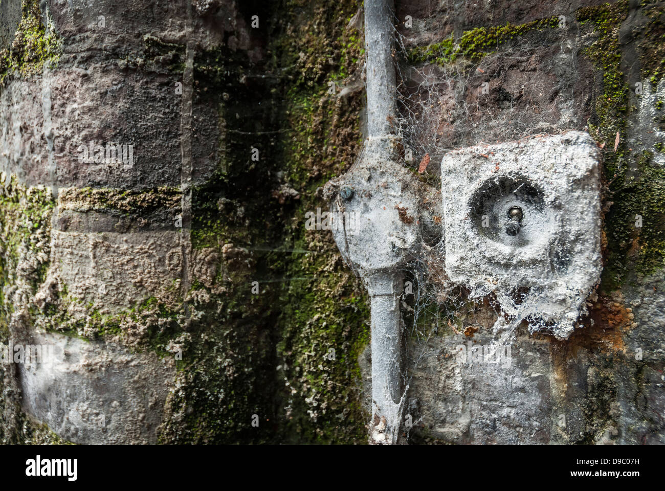 Old light switch covered with cobweb and moss. Stock Photo