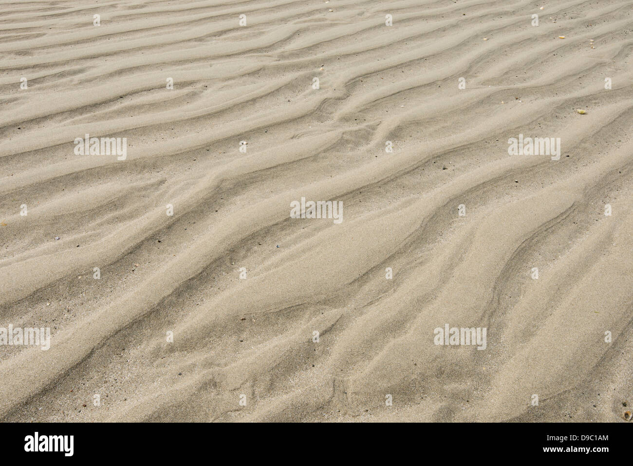 Ripples on sandy beach caused by the lapping of waves. Stock Photo