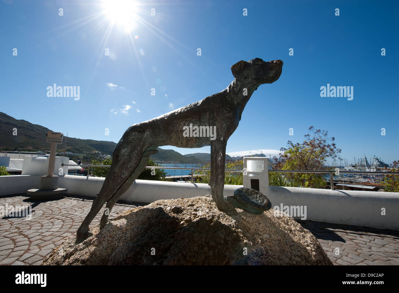 Statue of Just Nuisance, Jubilee Square, Simon's Town, False Bay, South Africa Stock Photo