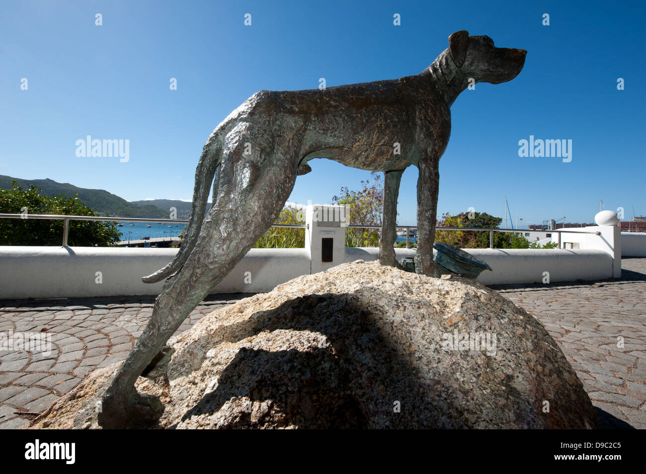 Statue of Just Nuisance, Jubilee Square, Simon's Town, False Bay, South