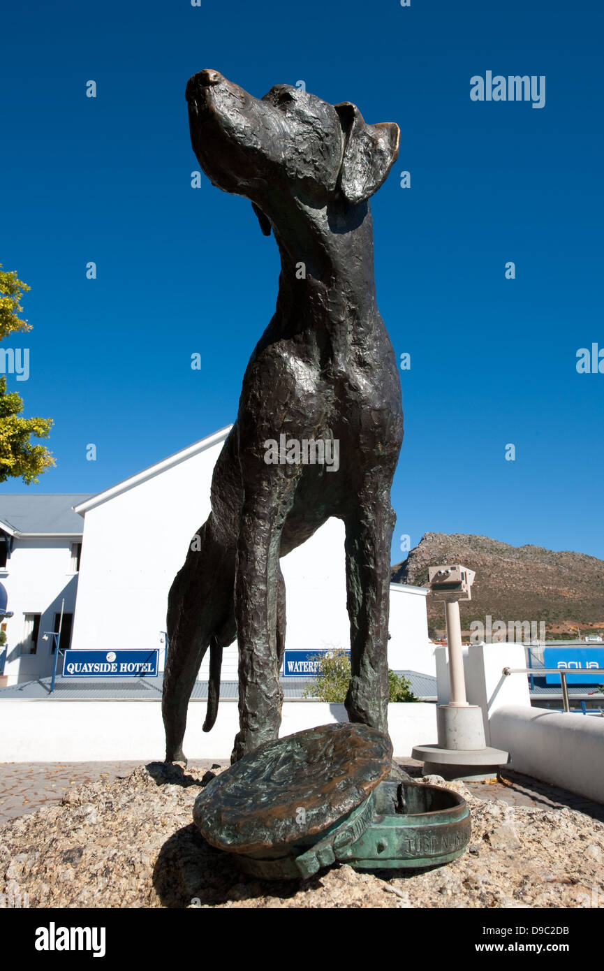 Statue of Just Nuisance, Jubilee Square, Simon's Town, False Bay, South