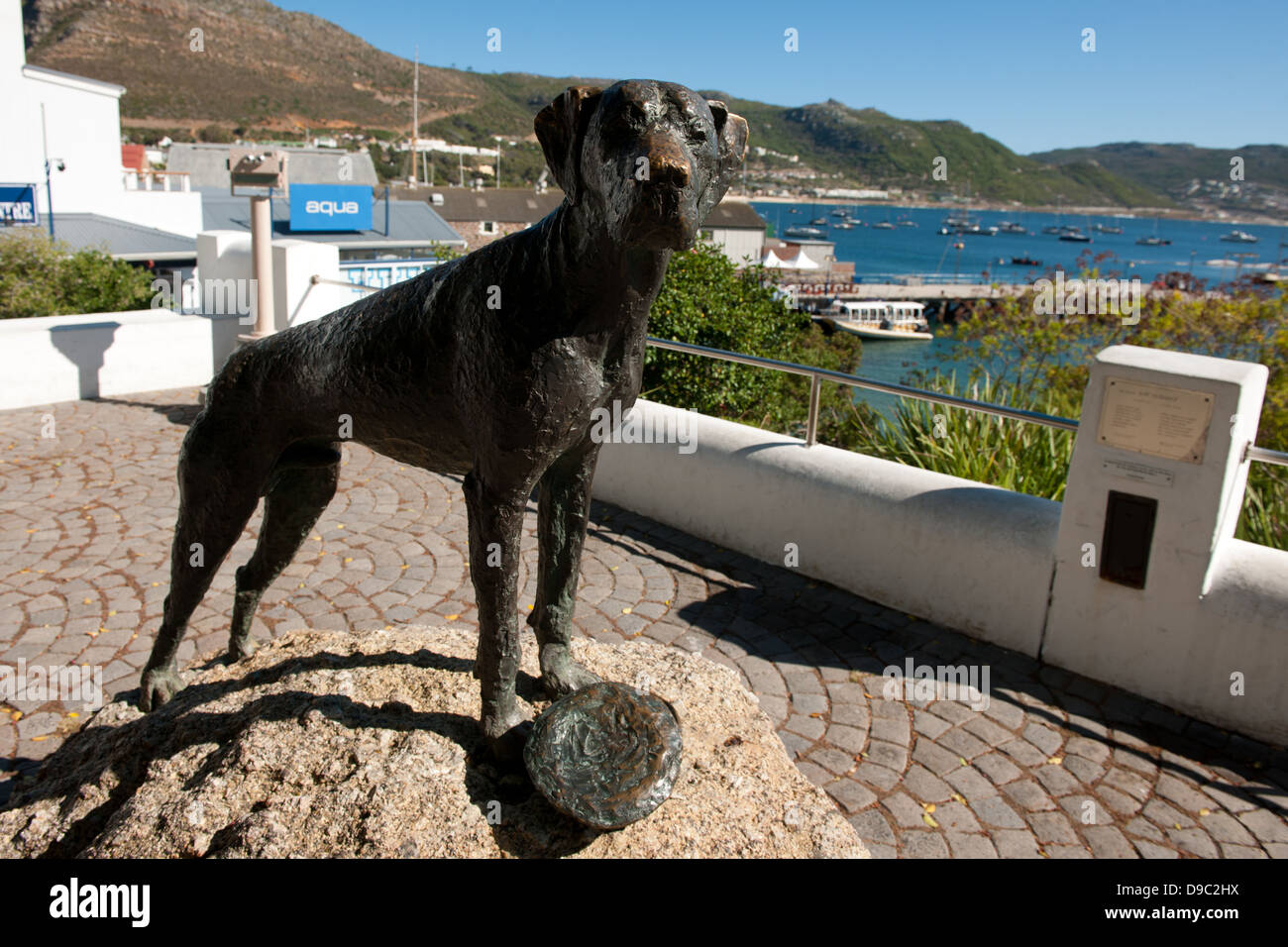 Statue of Just Nuisance, Jubilee Square, Simon's Town, False Bay, South