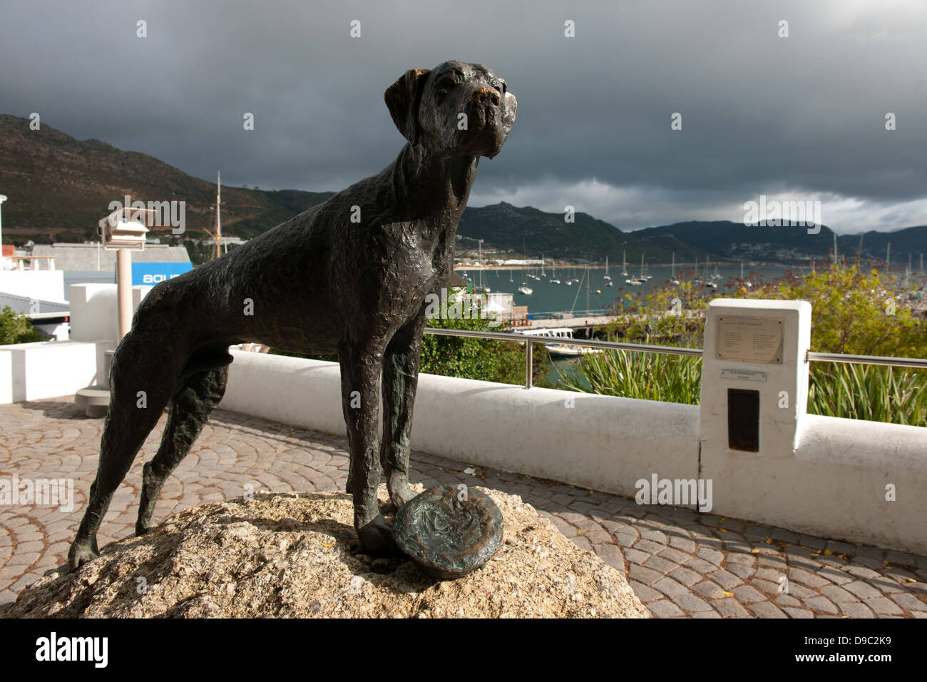Statue of Just Nuisance, Jubilee Square, Simon's Town, False Bay, South Africa Stock Photo