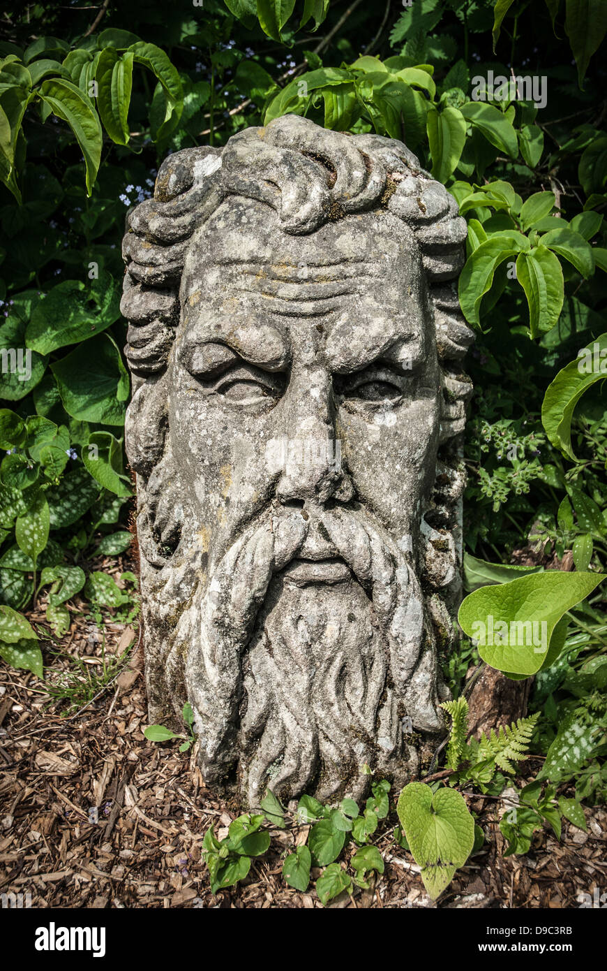 A stone sculpted head of a bearded man in garden. Stock Photo