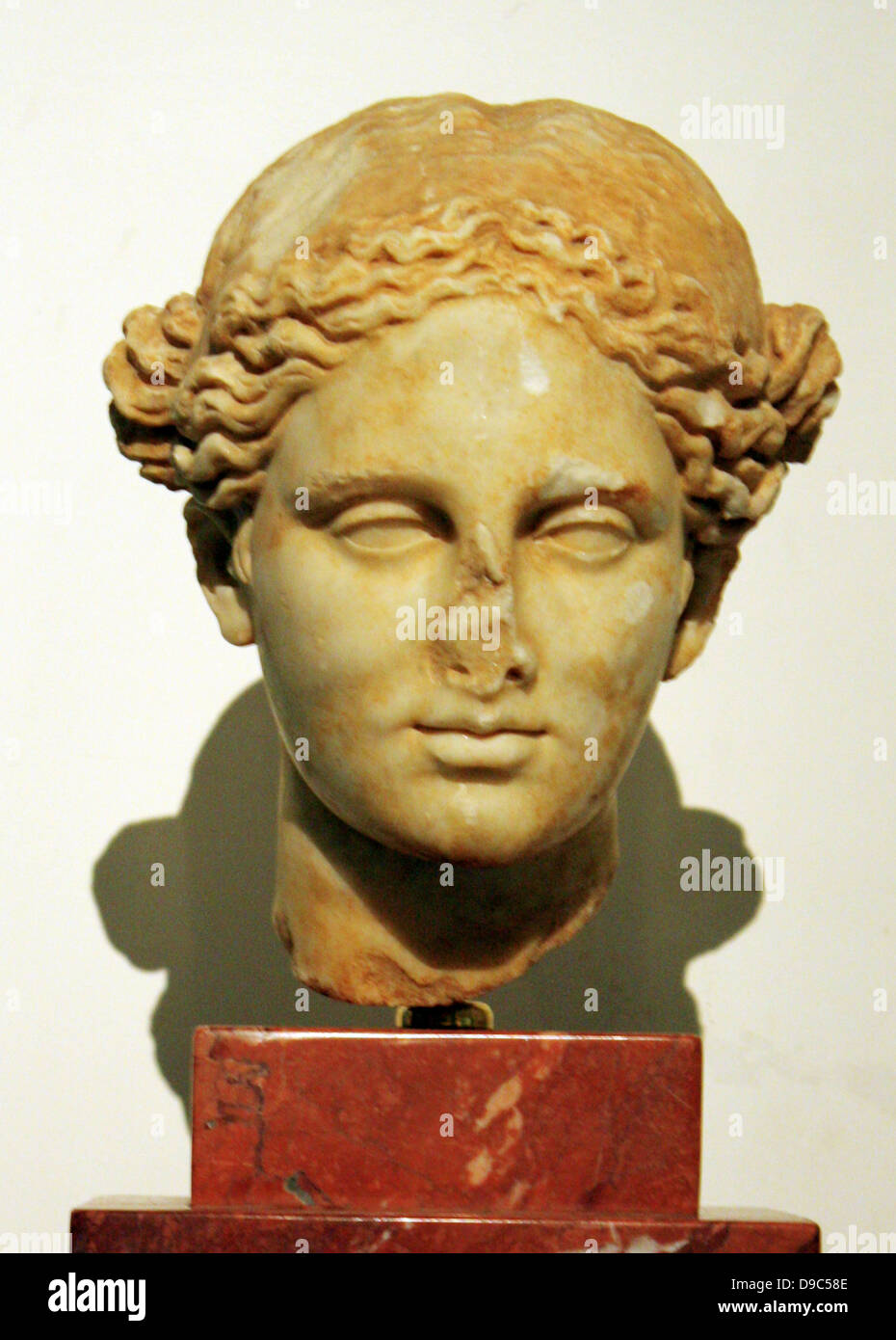 Female bust hires stock photography and images Alamy