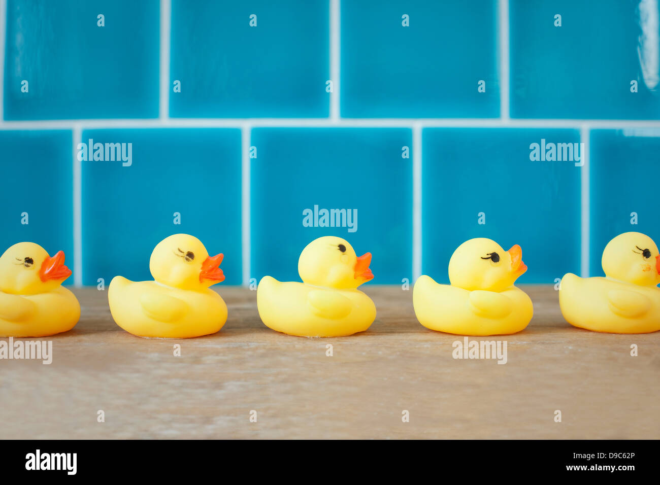 Ducks row high resolution stock photography and images  alamy