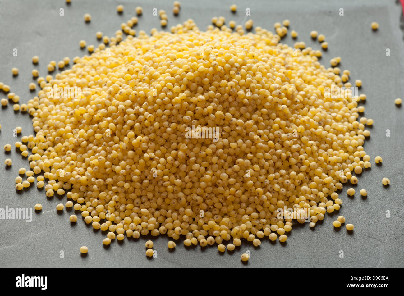 Close-up view of organic Hulled Millet Stock Photo - Alamy