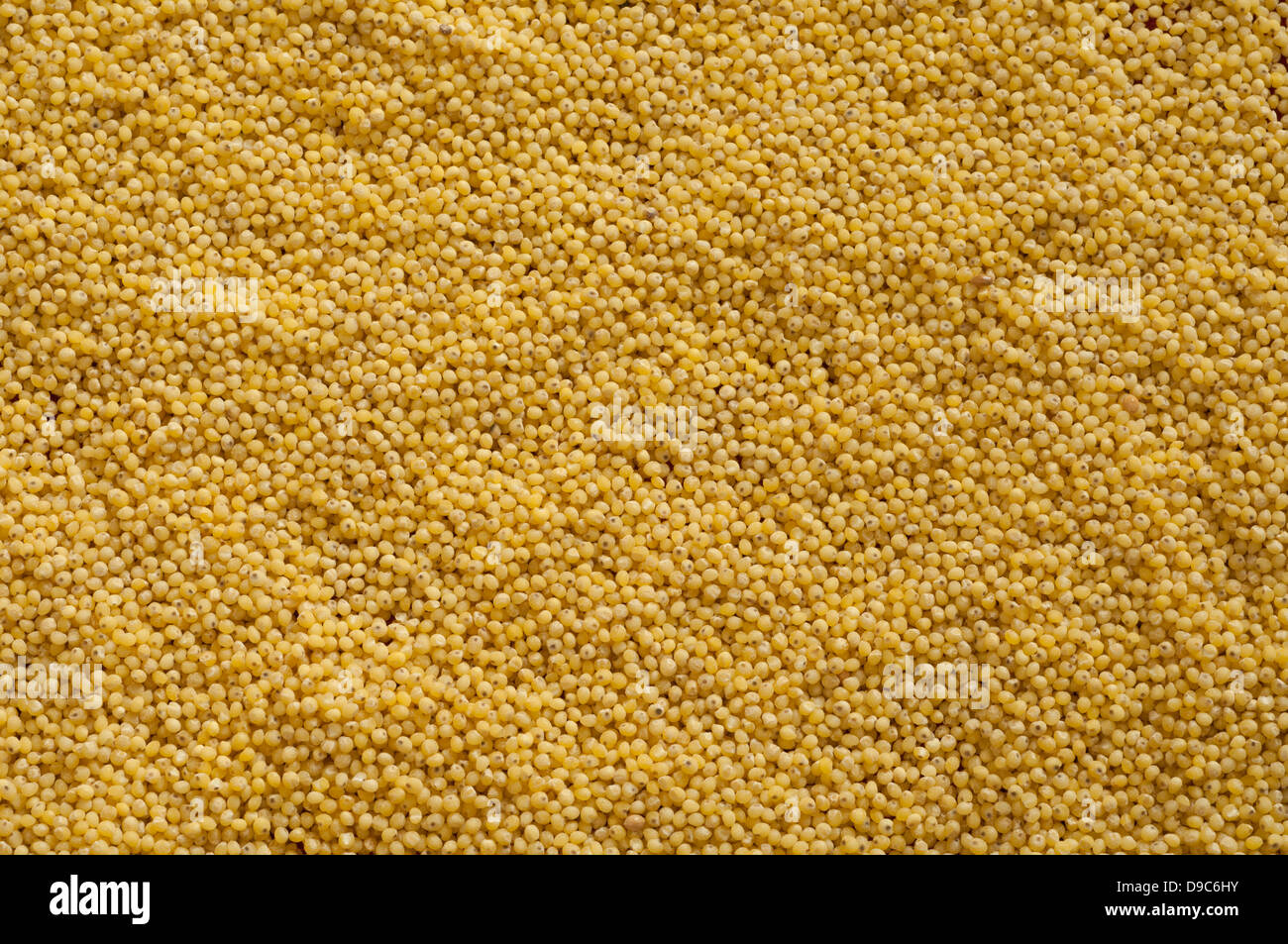 Close-up view of organic Hulled Millet Stock Photo - Alamy