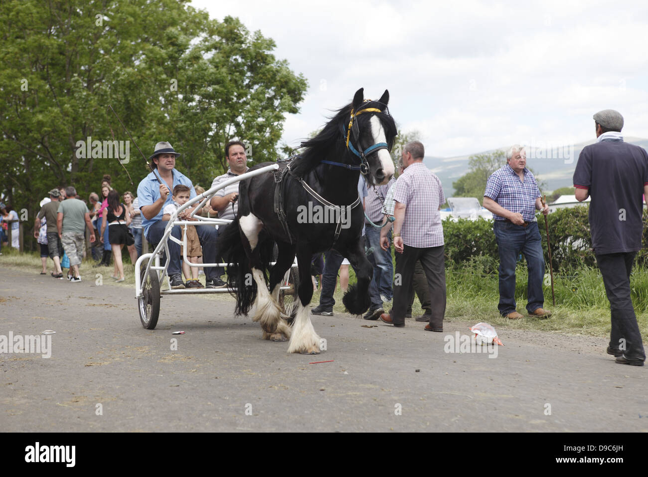 Gypsies drive their horses on the 'flashing lane' or 'mad mile' to show off to buyers at Appleby Horse Fair, in Cumbria, England Stock Photo