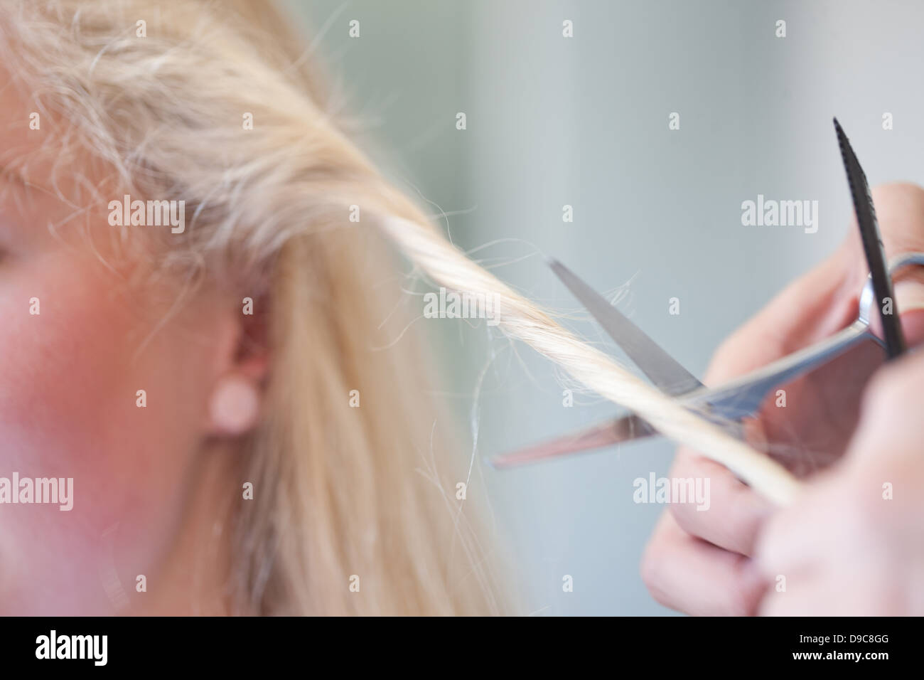 Young Woman Having Haircut Close Up Stock Photo Alamy Young Woman Having Haircut Close Up Stock Photo Alamy