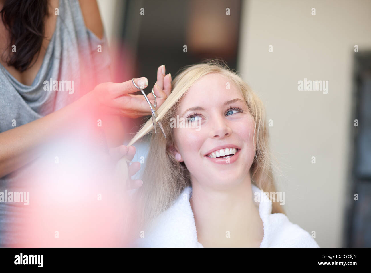 Young Woman Having Haircut Stock Photo Alamy Young Woman Having Haircut Stock Photo Alamy