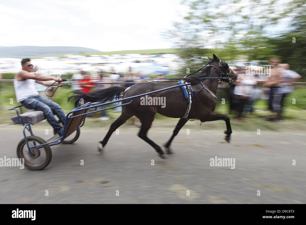 Carriage and horses driving at speed hires stock photography and