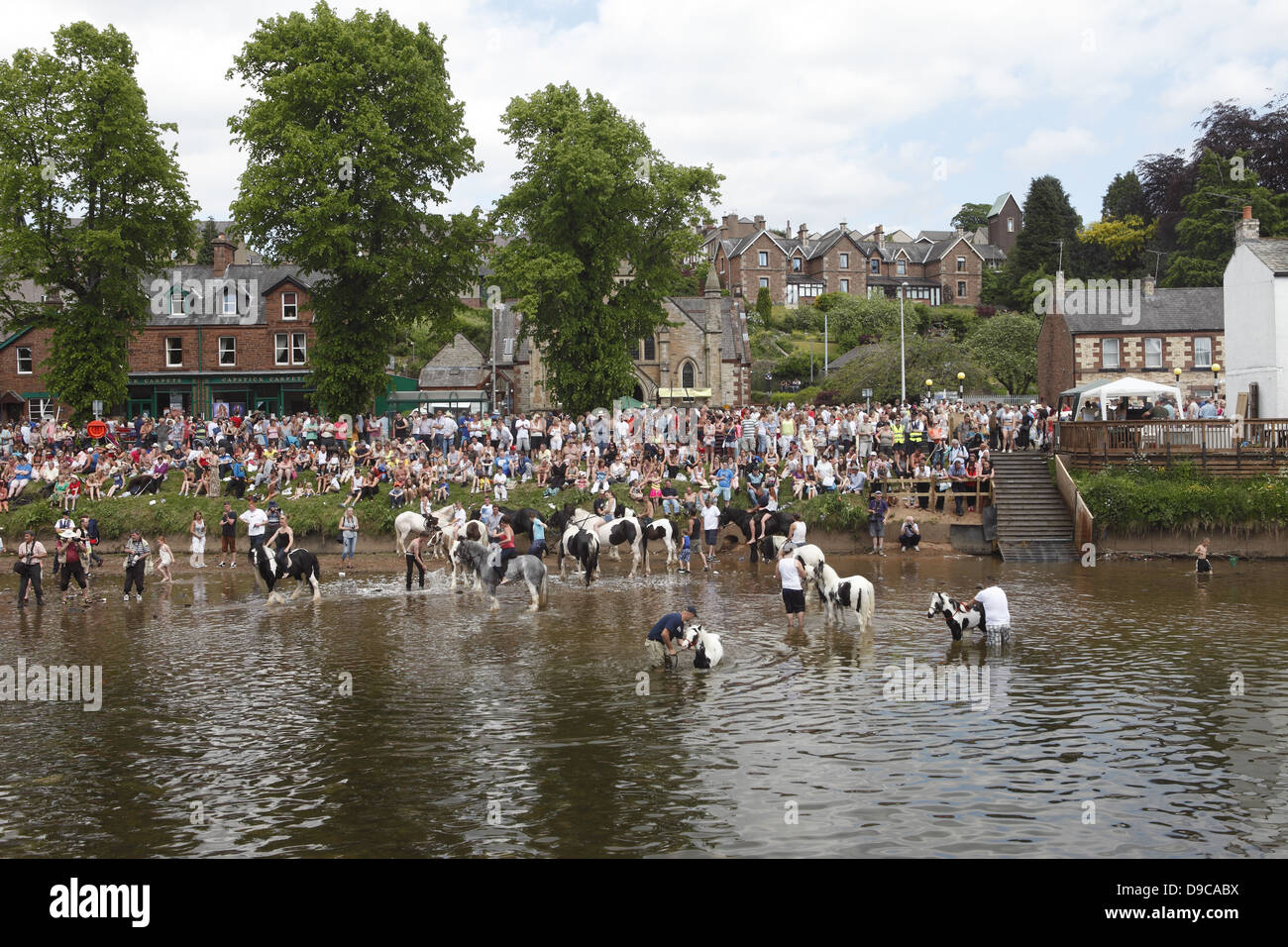 Gypsies wash their horses and ponies in the River Eden before parading them for sale at Appleby Horse Fair, in Cumbria, England Stock Photo