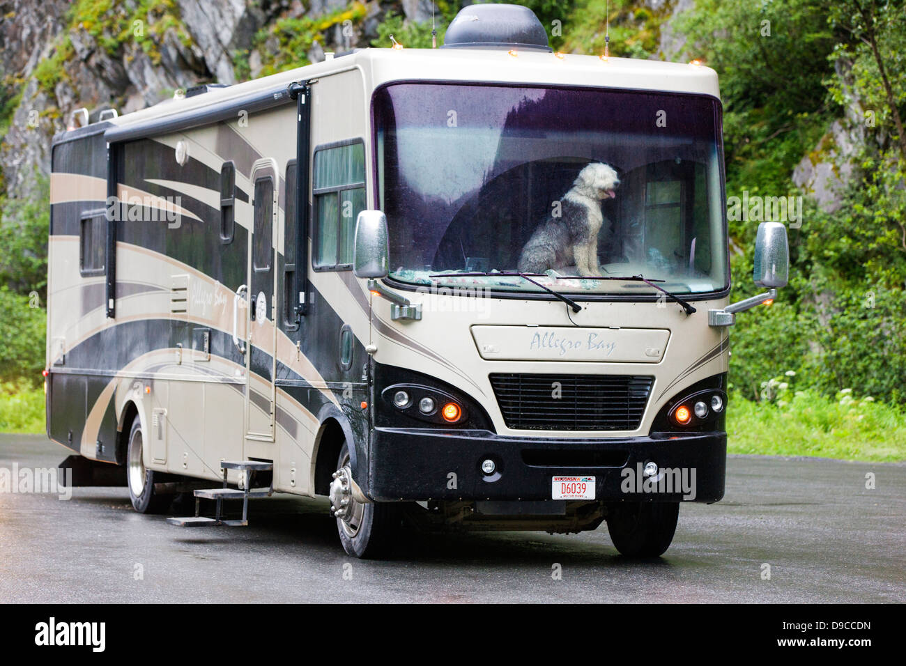 Old English Sheepdog on dashboard of recreational vehicle, Richardson