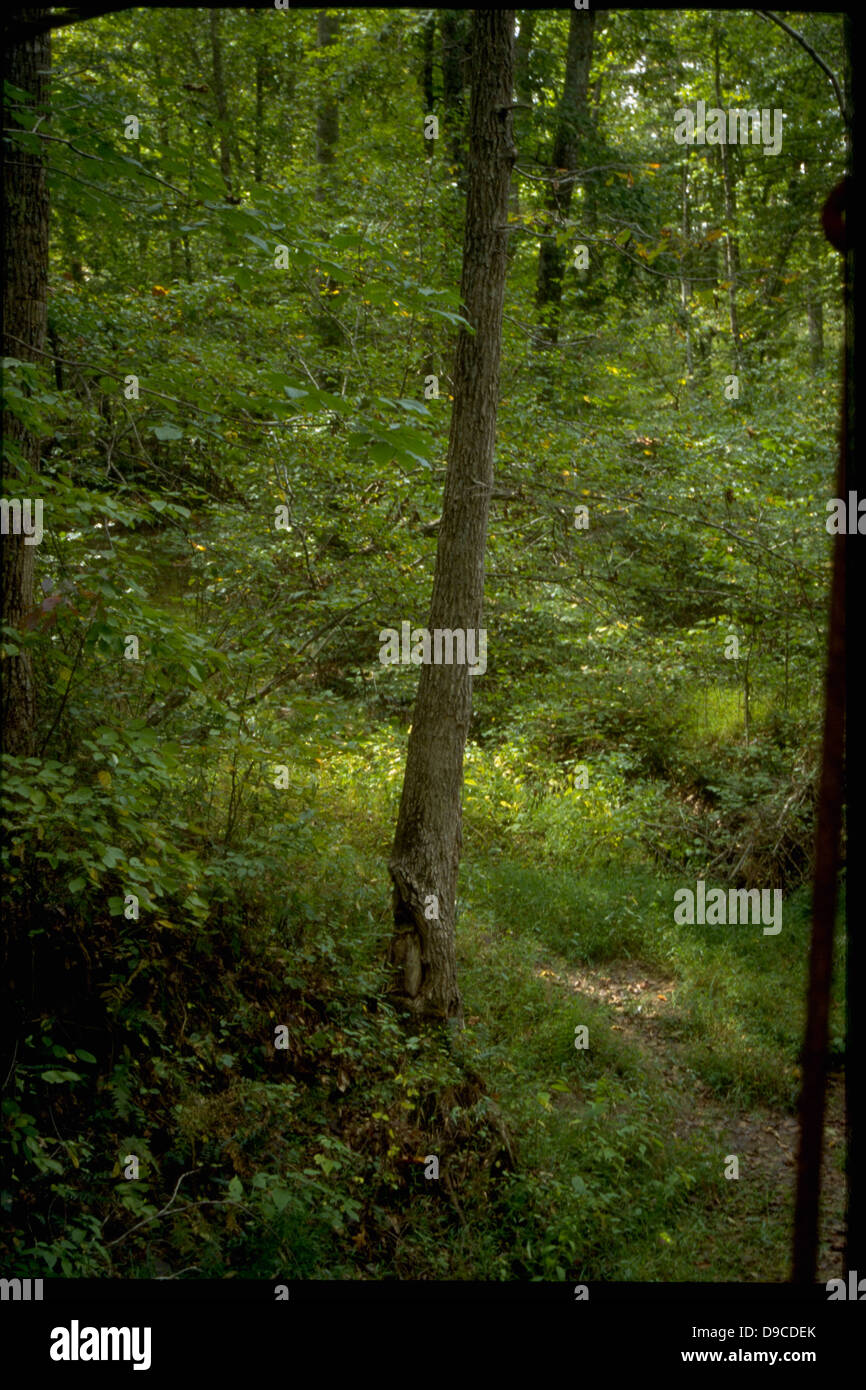 Prince William Forest Park in Virginia offers a variety of outdoor ...