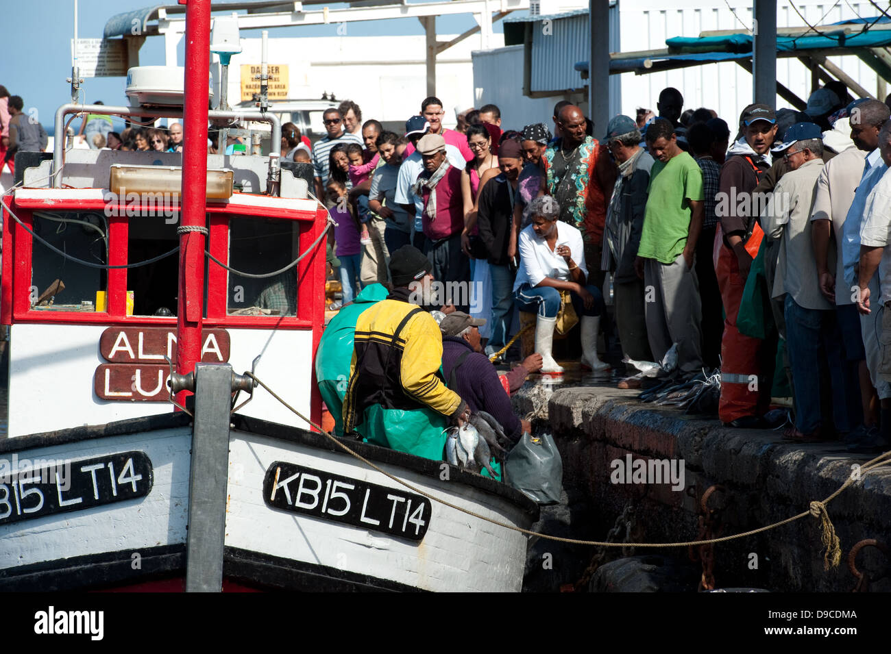 Fishing boat off loading fish in the harbour, Kalk Bay, False Bay, South Africa Stock Photo