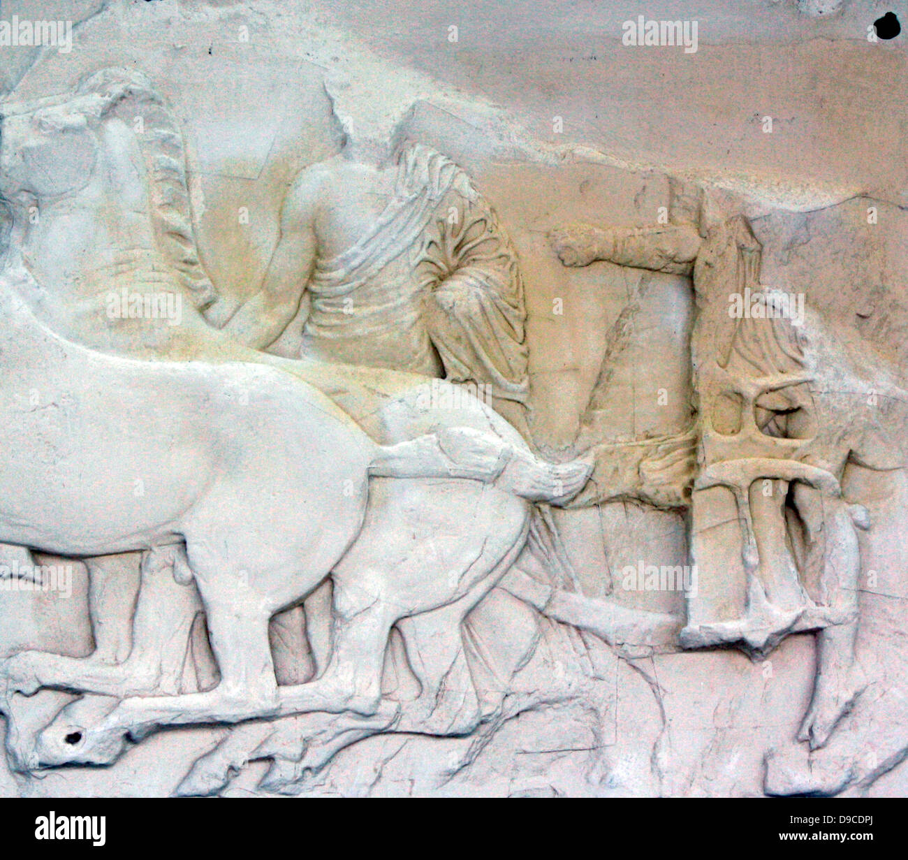 Galloping chariot horses.5th Century BC frieze from the Parthenon, Athens, Greece. Stock Photo