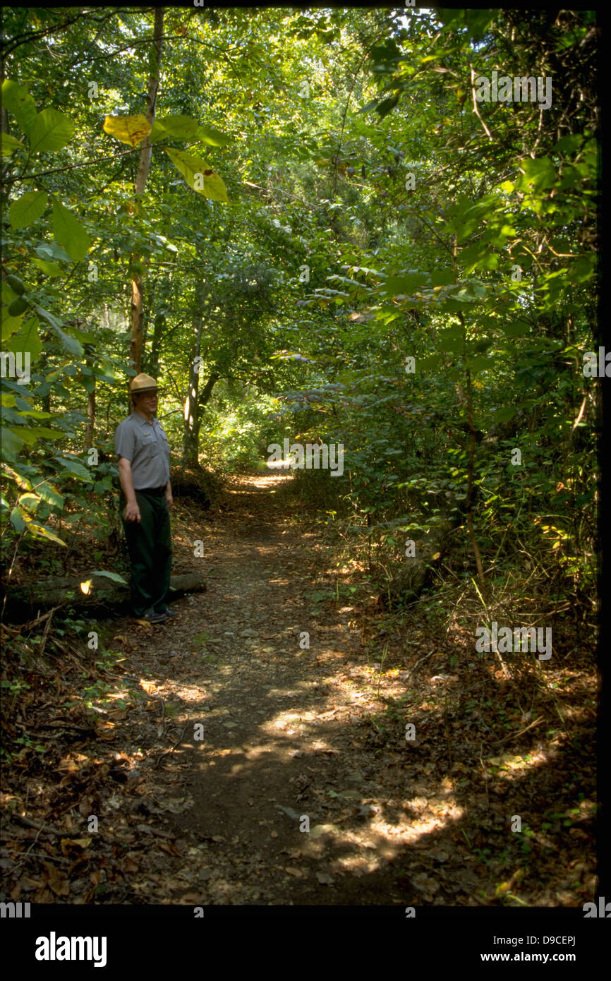 Prince William Forest Park, located in Virginia, offers visitors a ...