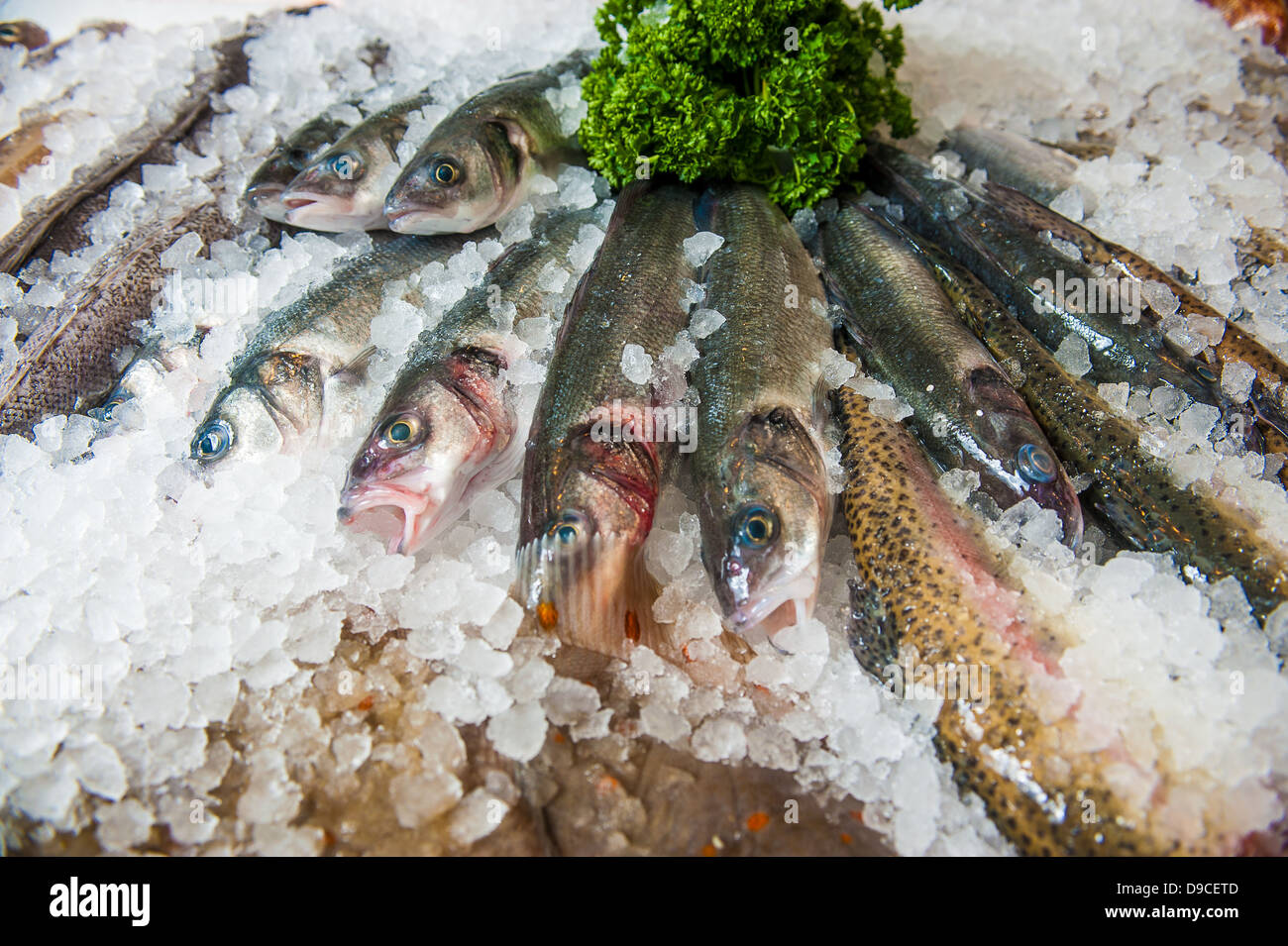 Fish in ice at fishmonger stall Stock Photo