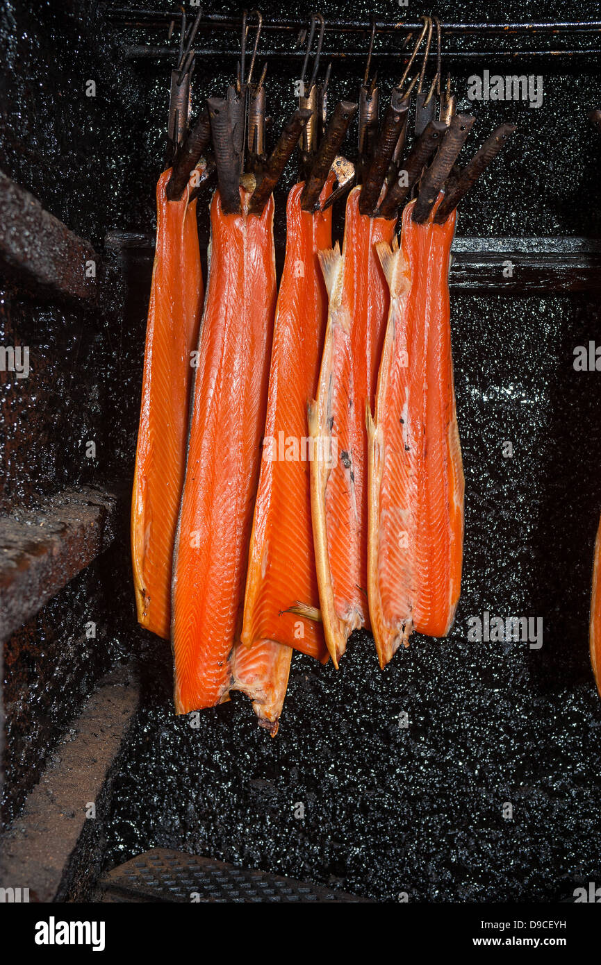 Traditional salmon smoking in smokehouse Stock Photo