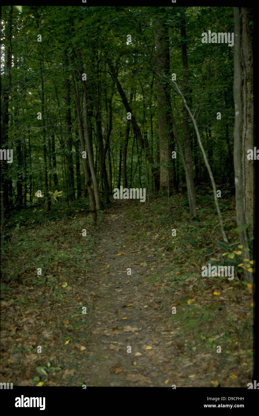Prince William Forest Park in Virginia offers more than 15,000 acres of ...