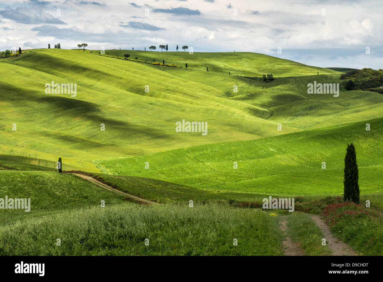 View of the scenic Tuscan countryside Stock Photo - Alamy
