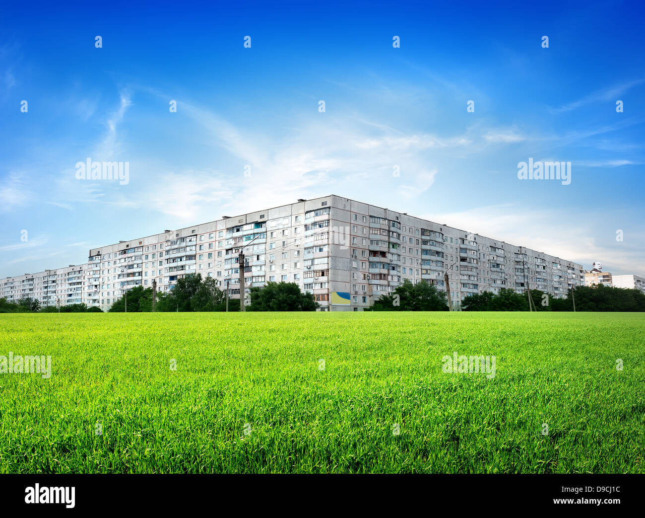 Field of green grass in front of the city Stock Photo