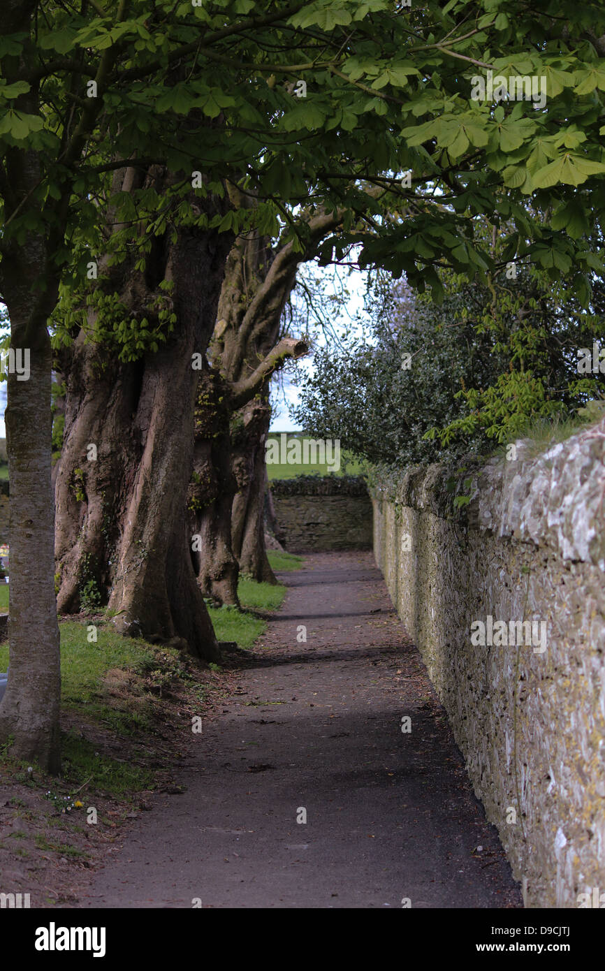 Pictured is a stone wall in Monasterboice, Drogheda, Co. Louth, Ireland
