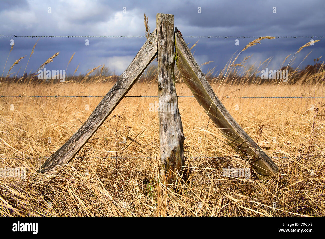 Pasture fence with barbed wire on the Elbe Stock Photo