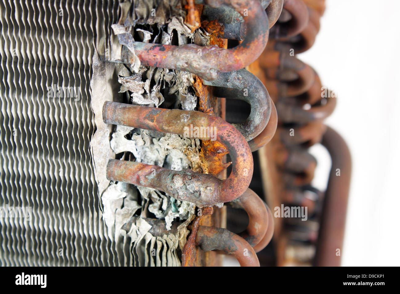 Capillary Tubes Stock Photos & Capillary Tubes Stock Images Alamy