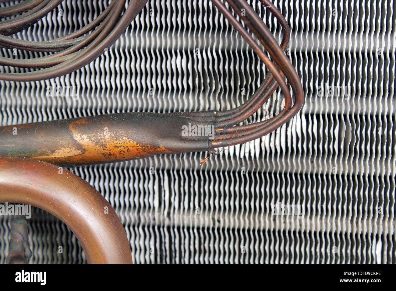 Capillary Tubes Stock Photos & Capillary Tubes Stock Images Alamy