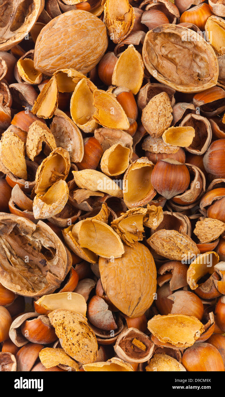 Empty shells of walnuts hazelnuts almonds for combustion Stock Photo