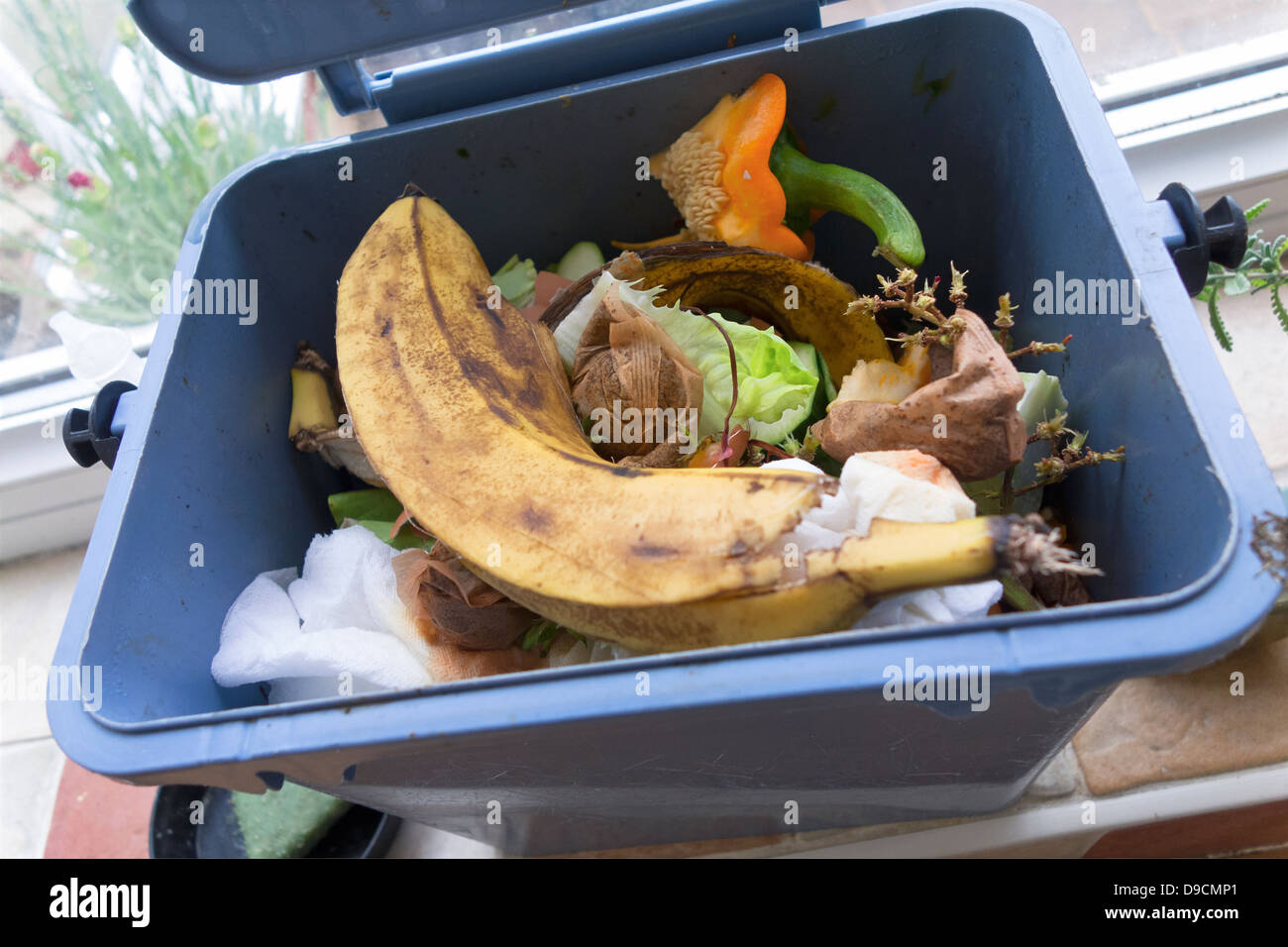 Kitchen waste recycle bin Stock Photo Alamy