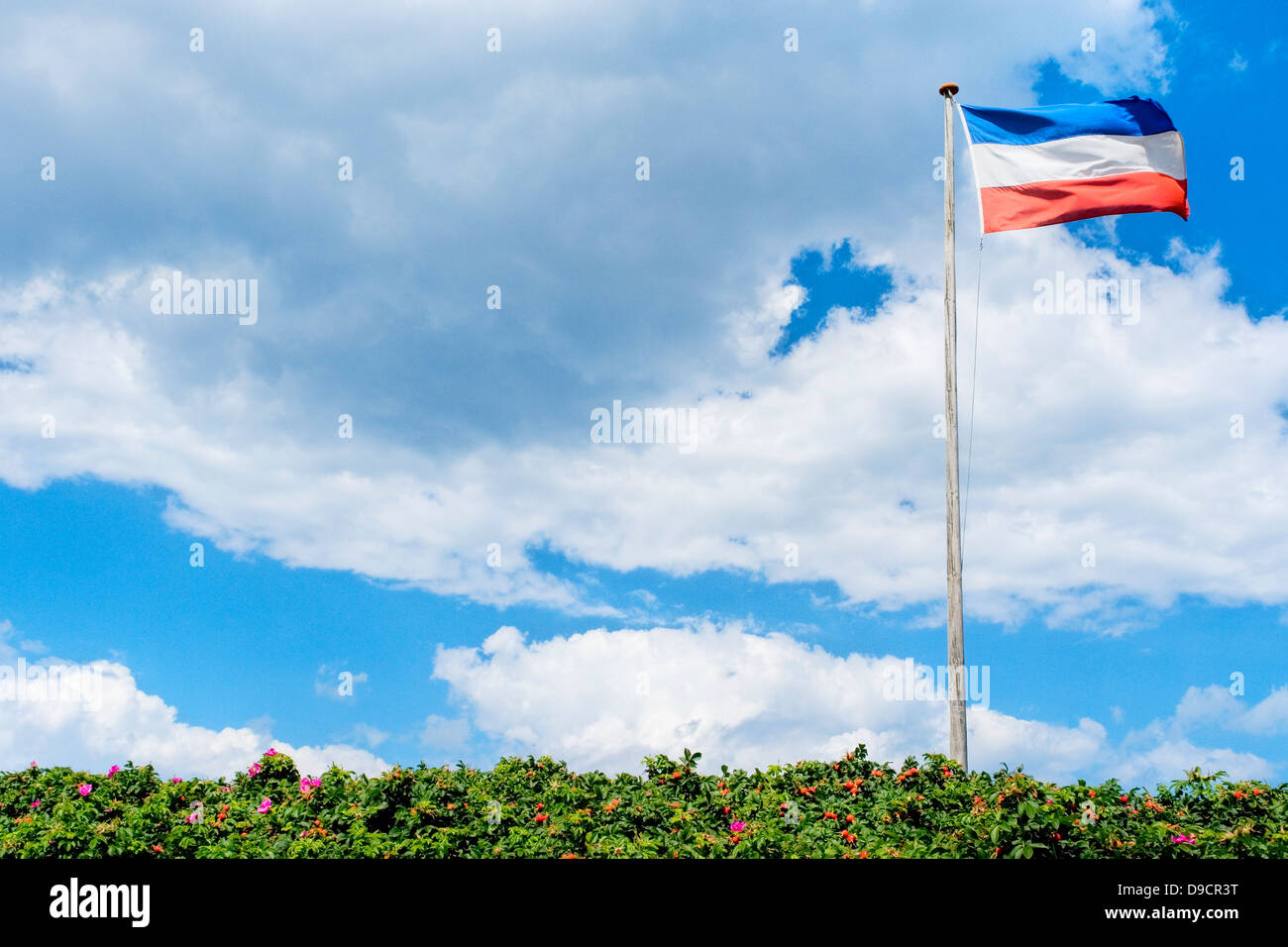 Flag in the wind Stock Photo