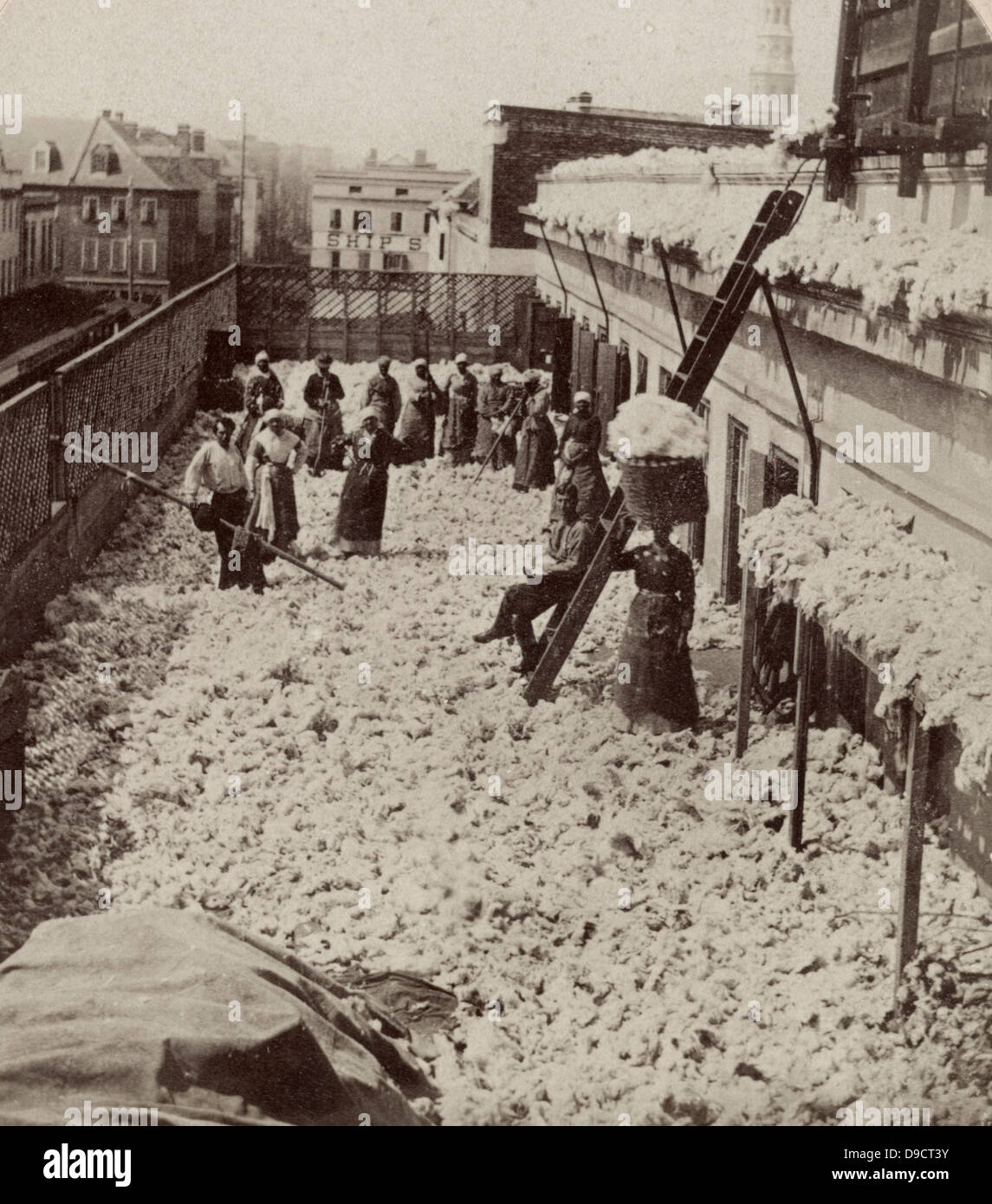 Cotton warehouse, drying cotton, Charleston, South Carolina. African Americans, mostly women