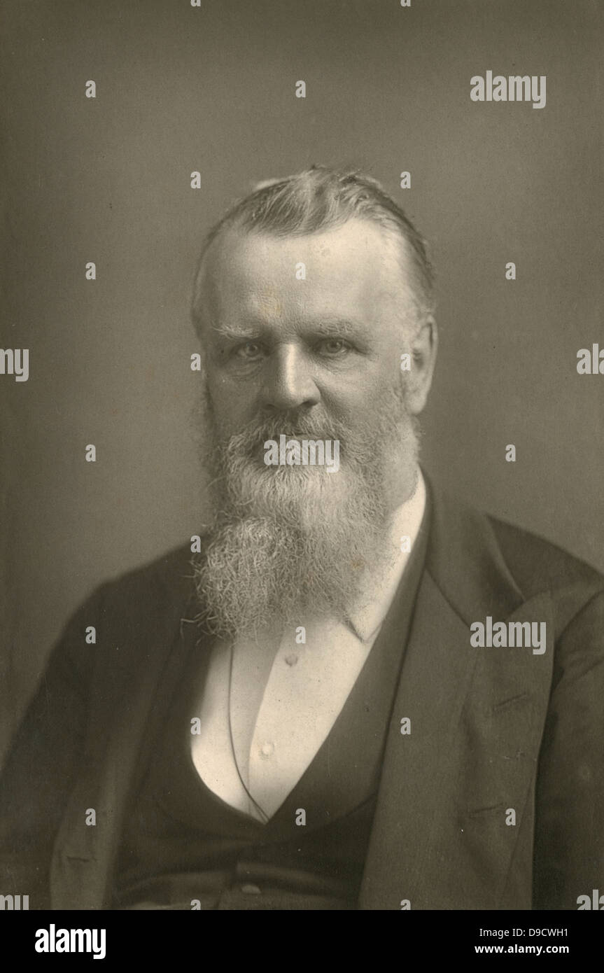 Henry Morley (1822-1894) English author and editor, professor of English Literature at University College London 1865-1889, pictured c1890. The Bengali polymath Rabindranath Tagore was one of Morleys pupils. Stock Photo