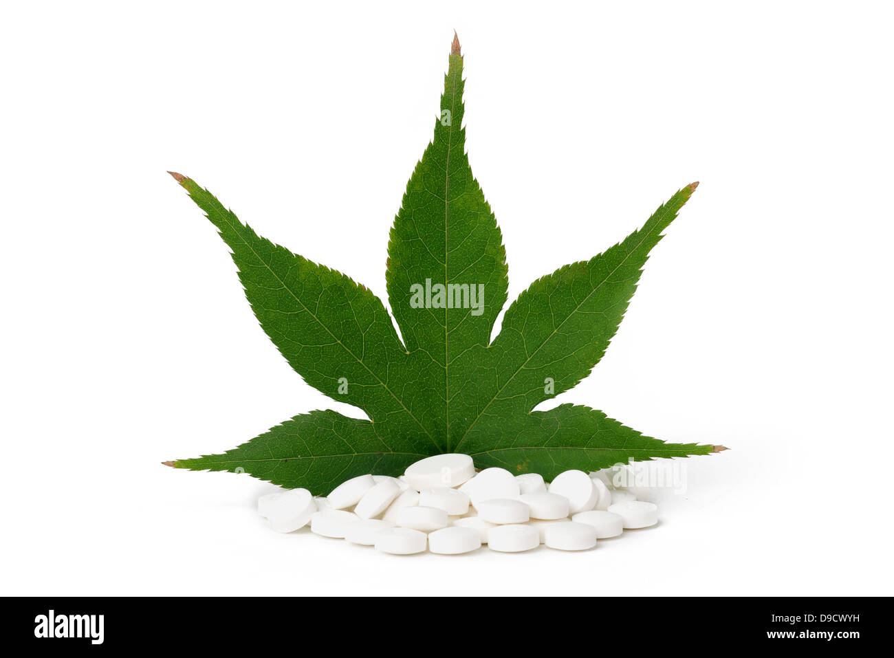 leaf on pills as alternative medicine concept Stock Photo