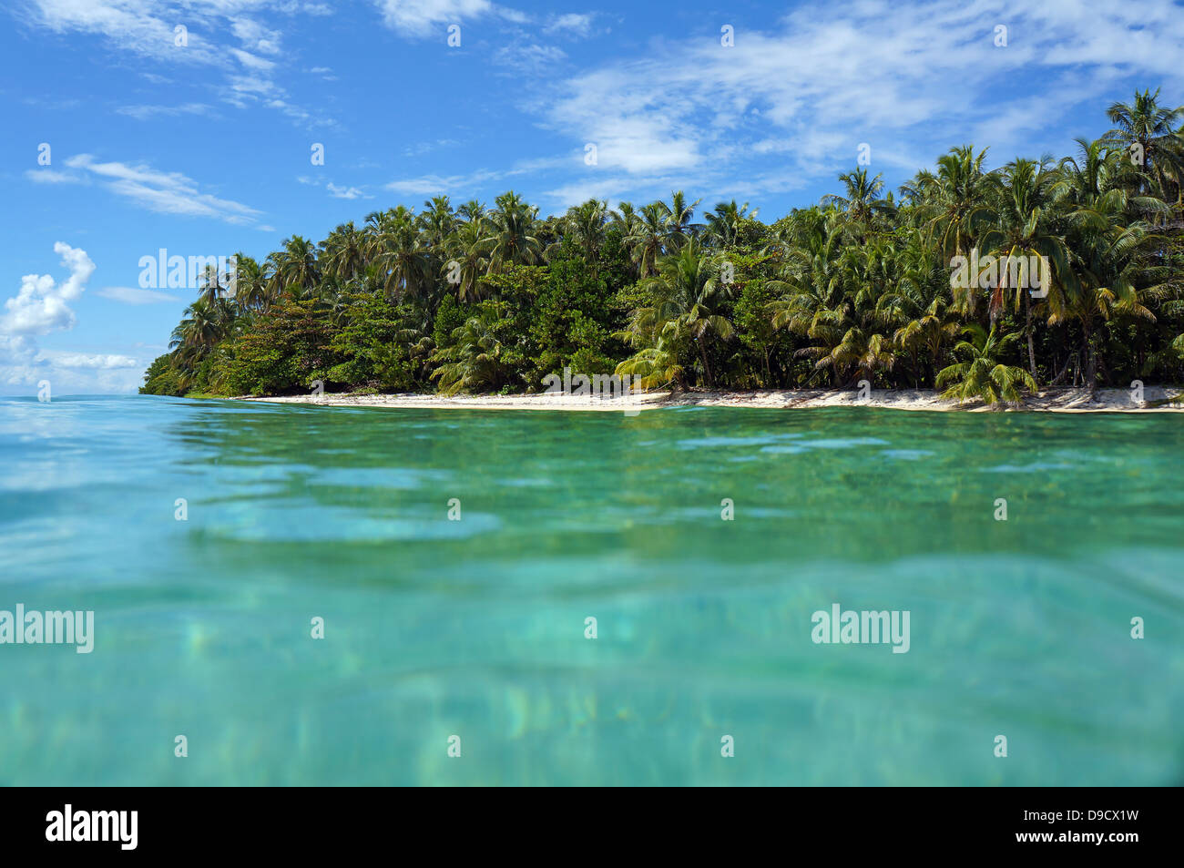 View from the water surface on a tropical island beach with luxuriant vegetation,  Zapatillas isles, Bocas del Toro, Panama Stock Photo