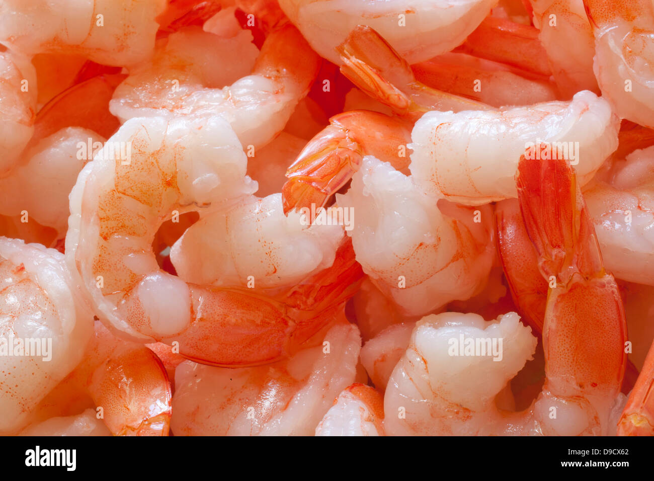 A close up on peeled jumbo shrimp Stock Photo Alamy