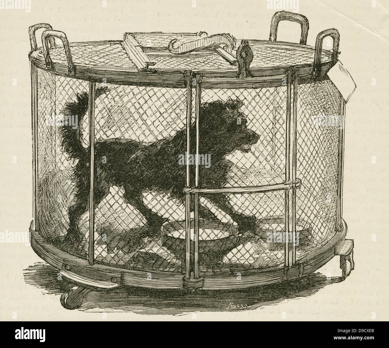 Cage containing inoculated used by Louis Pasteur (1822-1895) during his work on Hydrophobia (Rabies)  at the Ecole Normale, Paris.  Engraving, London, 1885. Stock Photo