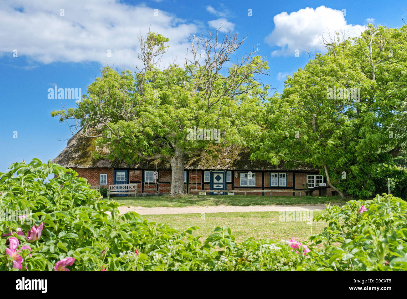 Summer cottage in the Geltinger bay Germany Stock Photo Alamy