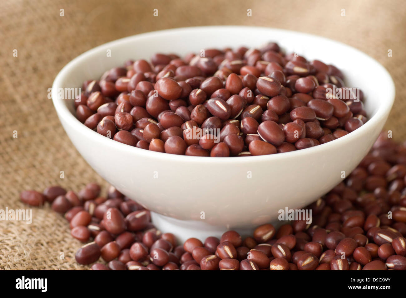 Azuki or Adzuki Beans Stock Photo