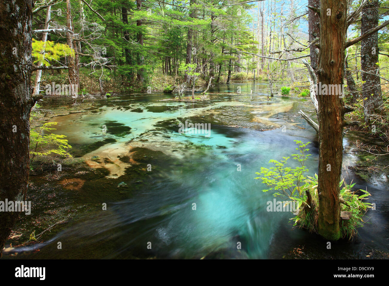 Chubu sangaku national park hi-res stock photography and images - Alamy
