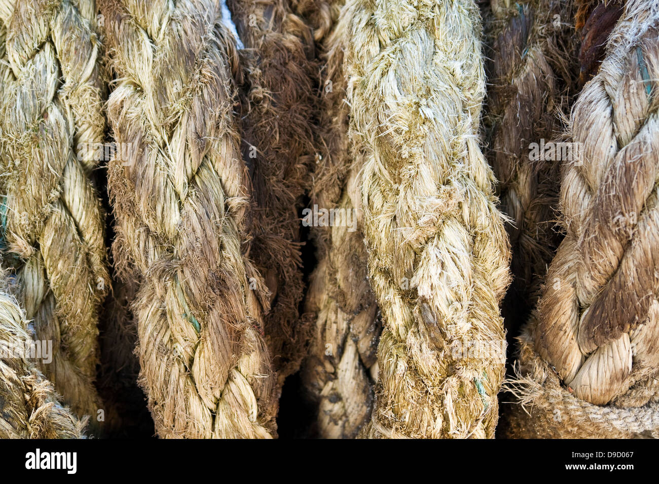 Rolled up ropes Stock Photo