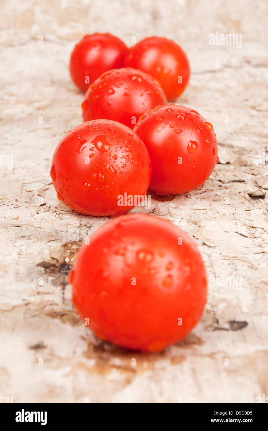 Cocktail tomatoes cherry Tomatoes Stock Photo