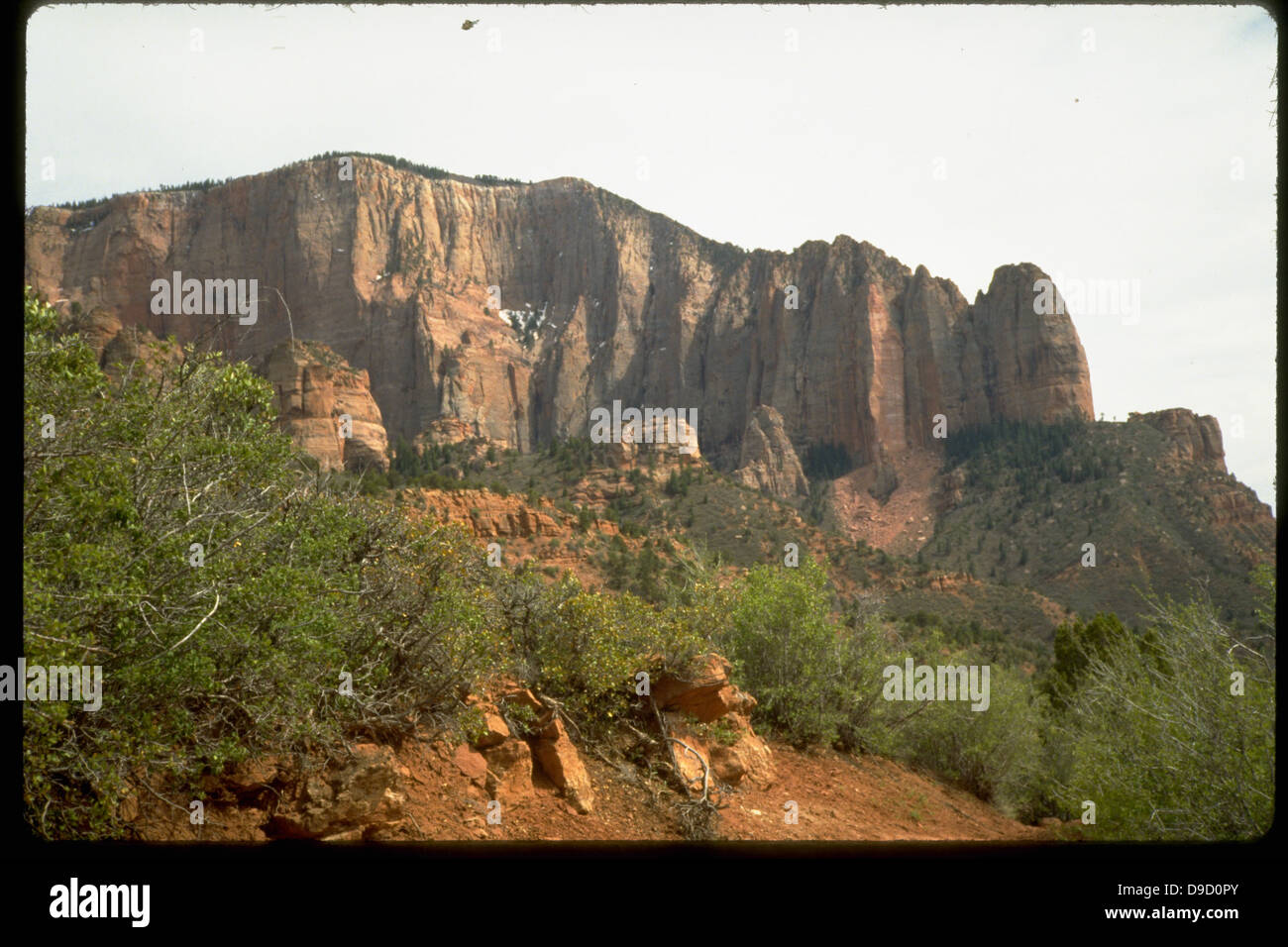 Zion National Park In Utah Is Renowned For Its Dramatic Photo Inspiration
