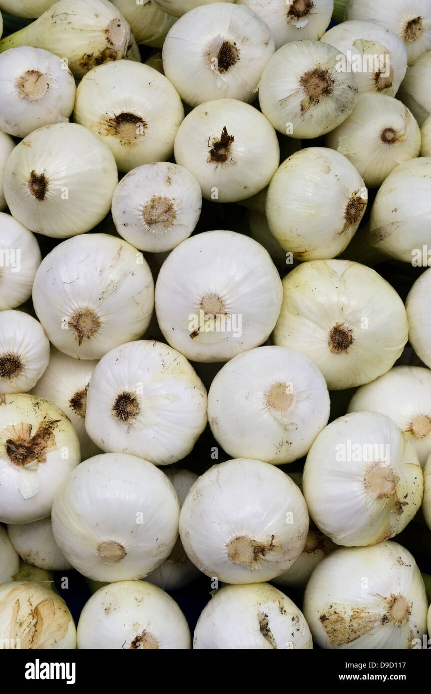 White onions on display at the farmers market Stock Photo - Alamy