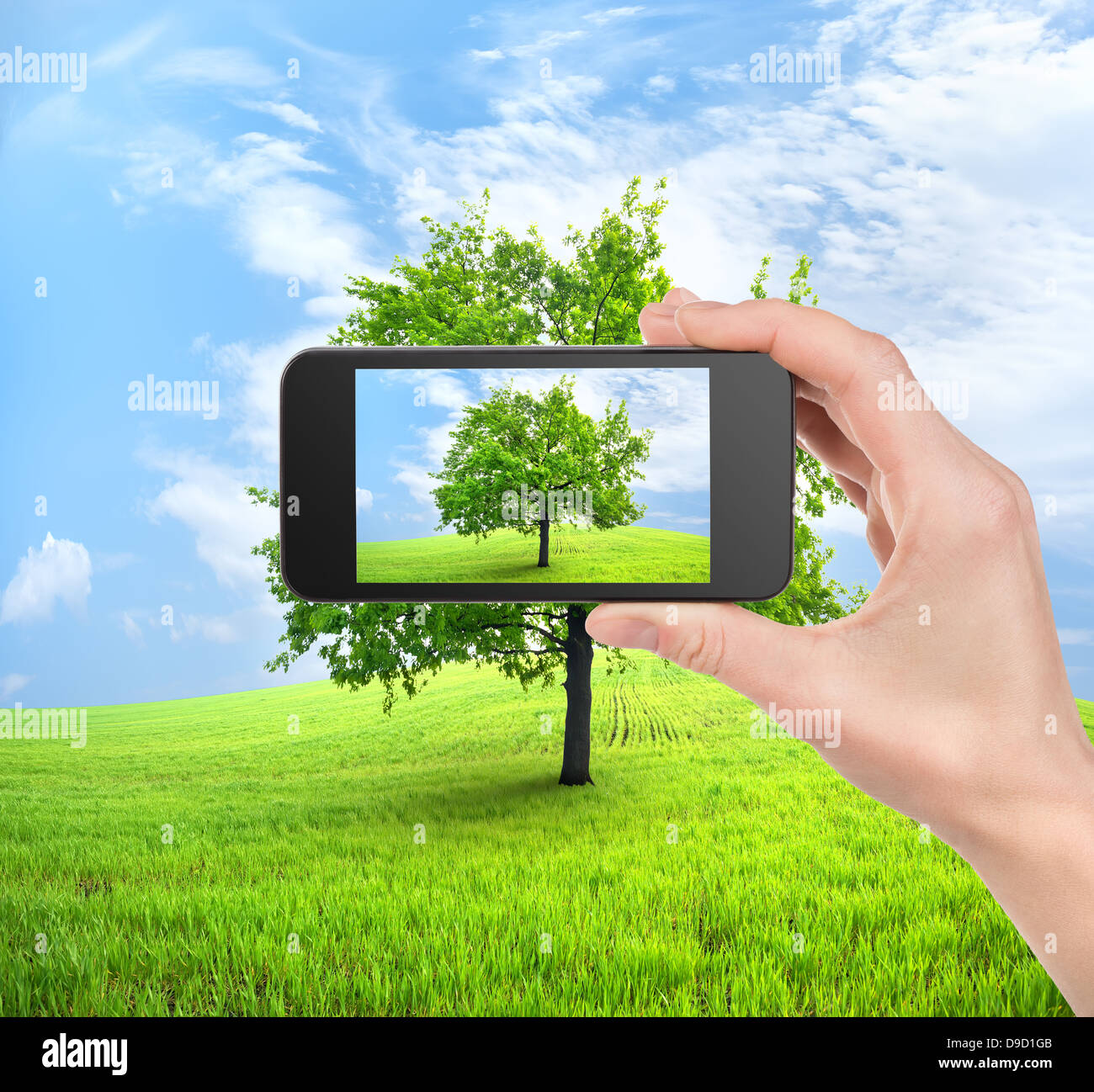 Mobile phone in hand and tree in field Stock Photo
